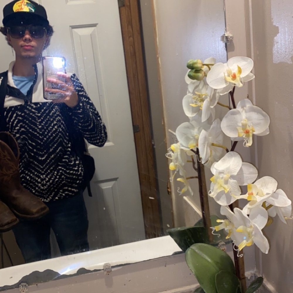 Meet your Posher, Dalton